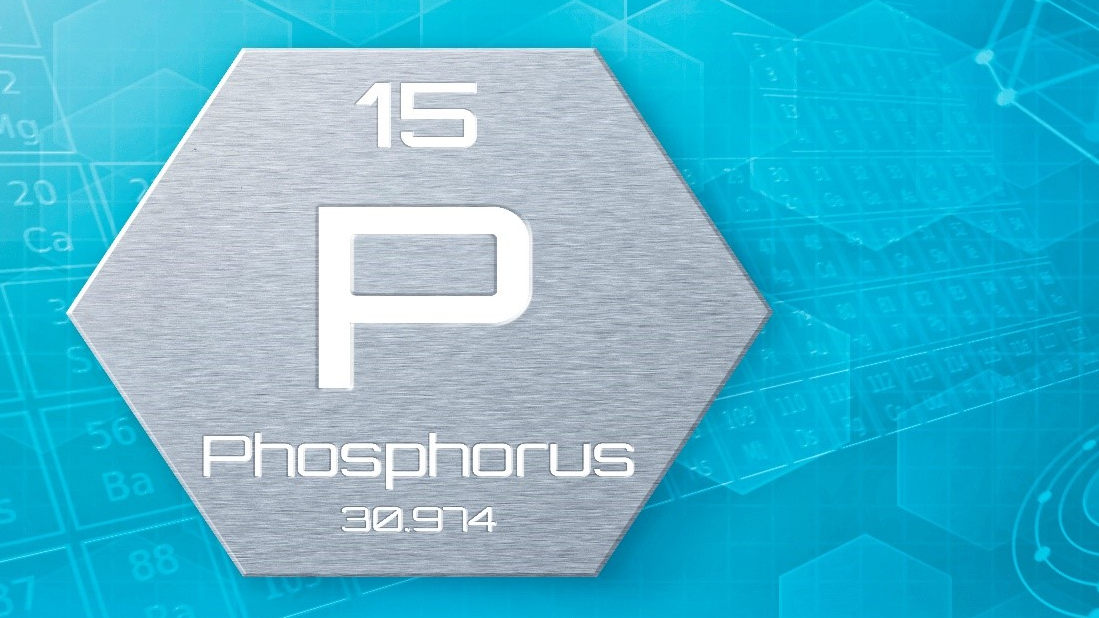 Phosphor Rückgewinnung